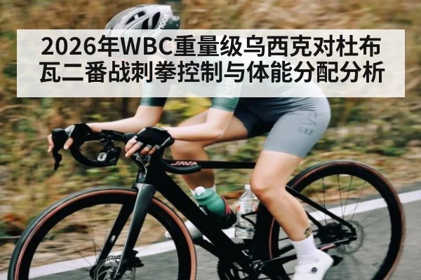 2026年WBC重量级乌西克对杜布瓦二番战刺拳控制与体能分配分析